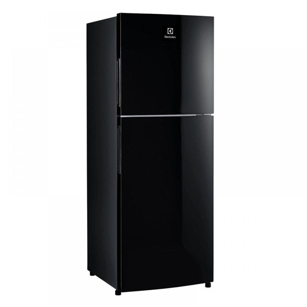 Tủ Lạnh Electrolux ETB2802J-H - 256L Thái Lan