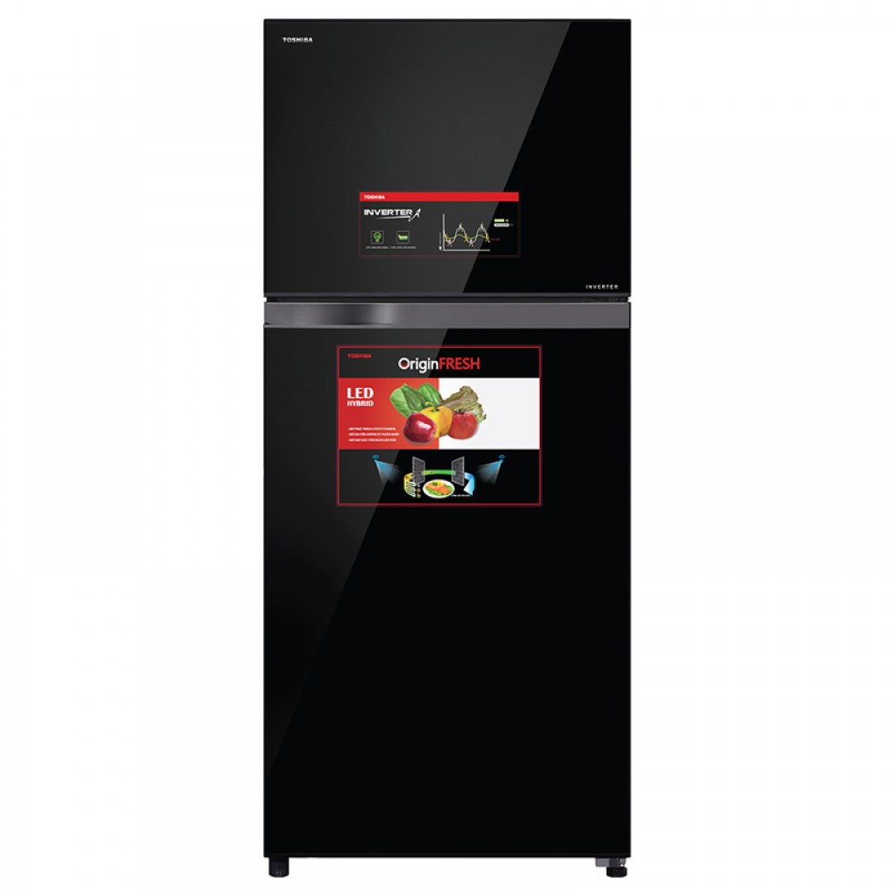 Tủ Lạnh Toshiba GR-AG41VPDZXK - 359L Thái Lan